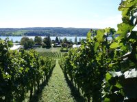 2020 Radtour Reichenau